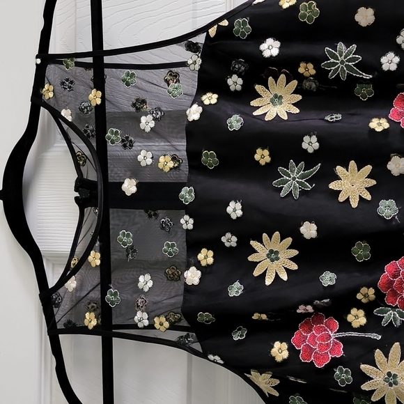 Alex Marie Lindsey sz 8 sheer and Embroidered floral dress - Picture 5 of 15